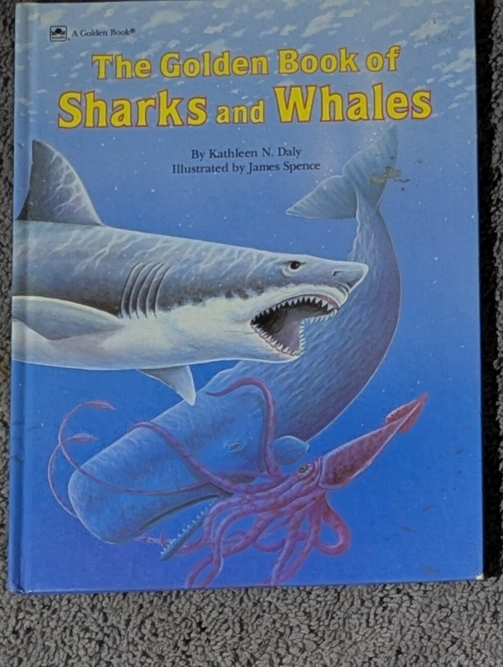 Vintage 1989 The Golden Book of Sharks and Whales Hardcover Kathleen Daly